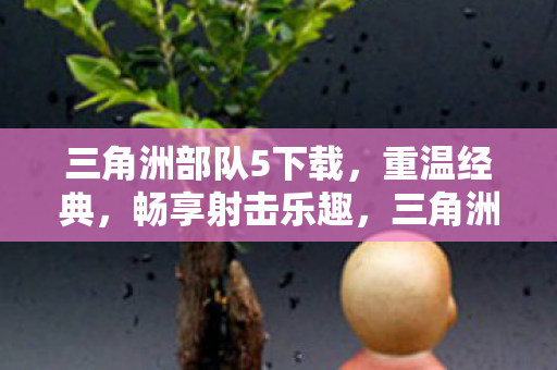 重温经典射击游戏下载图片