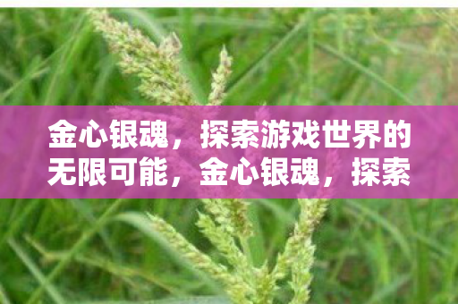 探索游戏世界的无限可能图片