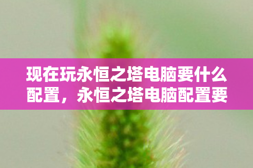 现在玩永恒之塔电脑要什么配置图片