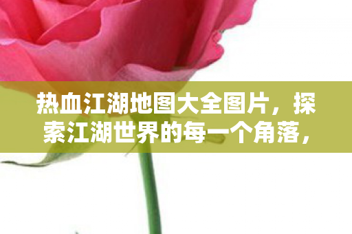 探索江湖世界的每一个角落图片