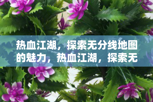 探索无分线地图的无限魅力图片