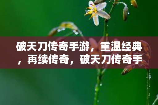 破天刀传奇手游图片