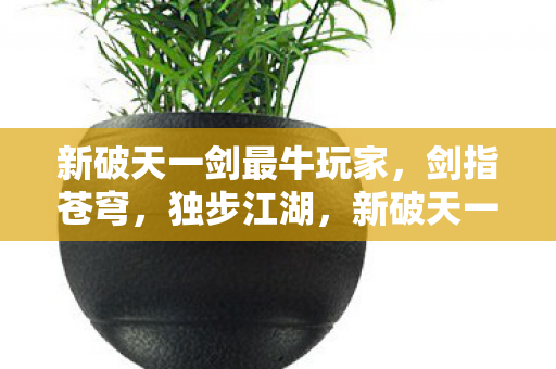 新破天一剑最牛玩家图片