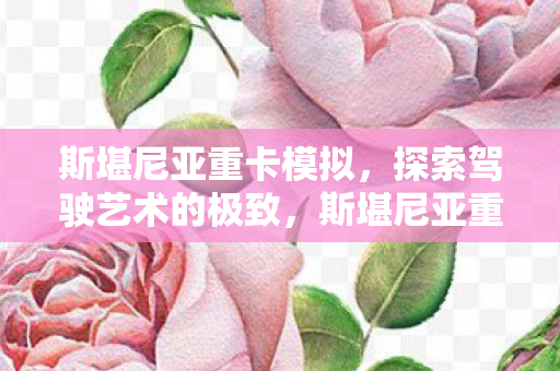 探索驾驶艺术的极致之旅图片