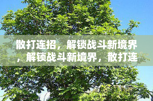 解锁战斗新境界图片
