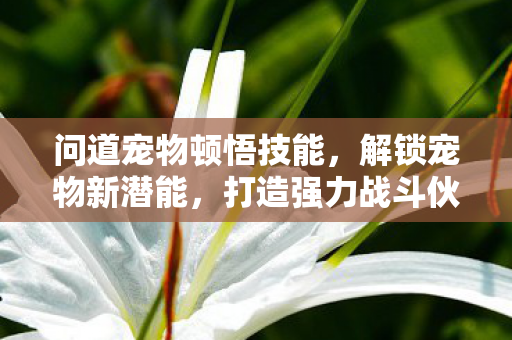 宠物顿悟技能解锁新潜能图片