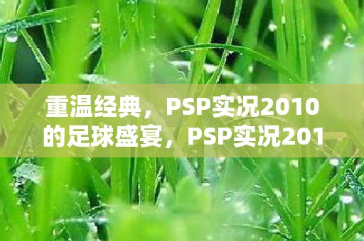 PSP实况2010的足球盛宴图片