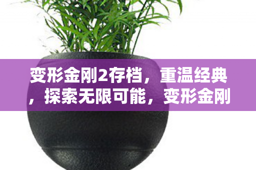 变形金刚2经典重温图片