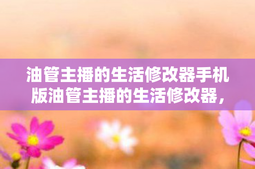 油管主播的生活修改器手机版油管主播的生活修改器图片