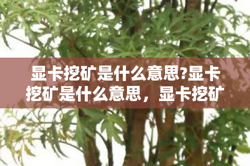 揭秘数字资产挖掘背后的显卡运用图片