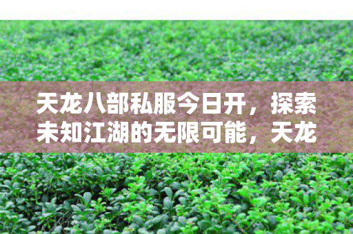 探索未知江湖的无限可能图片