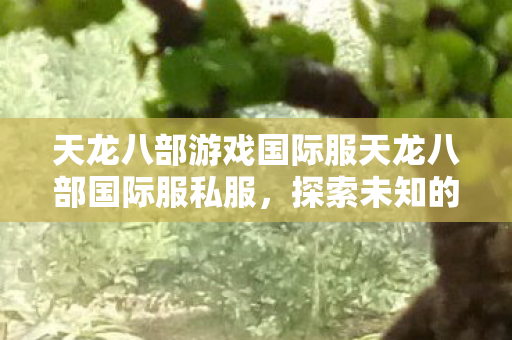 天龙八部游戏国际服天龙八部国际服私服图片