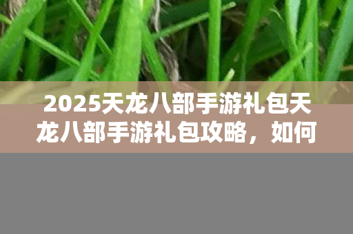 2025天龙八部手游礼包天龙八部手游礼包攻略图片