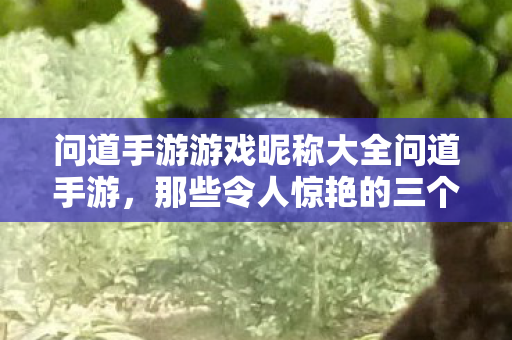 问道手游游戏昵称大全问道手游,那些令人惊艳的三个字以上游戏昵称,问道手游,惊艳三字的昵称大全 问道手游游戏昵称大全问道手游,那些令人惊艳的三个字以上游戏昵称,问道手游,惊艳三字的昵称大全
