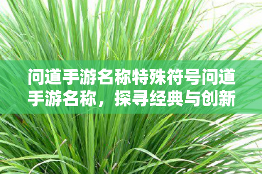 问道手游名称特殊符号问道手游名称，探寻经典与创新的完美融合，探寻经典与创新的完美融合，问道手游名称特殊符号