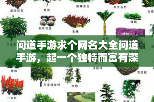 问道手游求个网名大全问道手游,起一个独特而富有深意的网名,问道手游,独特深意网名大全 问道手游求个网名大全问道手游,起一个独特而富有深意的网名,问道手游,独特深意网名大全
