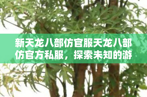 新天龙八部仿官服天龙八部仿官方私服图片