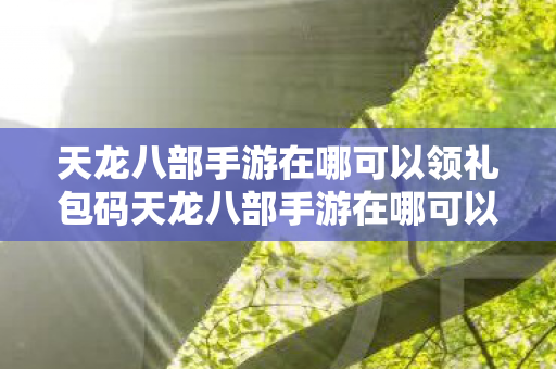天龙八部手游在哪可以领礼包码天龙八部手游在哪可以领礼包图片