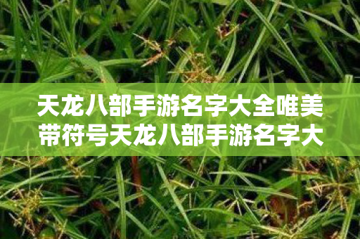 天龙八部手游名字大全唯美带符号天龙八部手游名字大全唯美图片