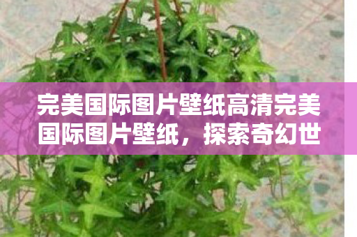 完美国际图片壁纸高清完美国际图片壁纸图片