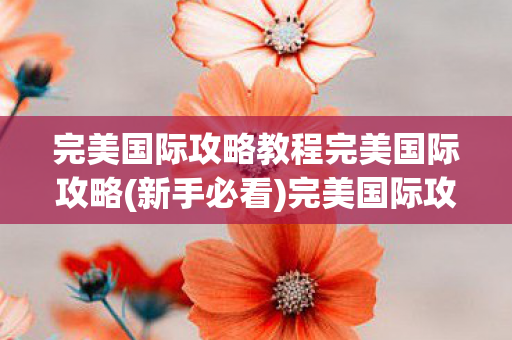完美国际攻略教程完美国际攻略图片