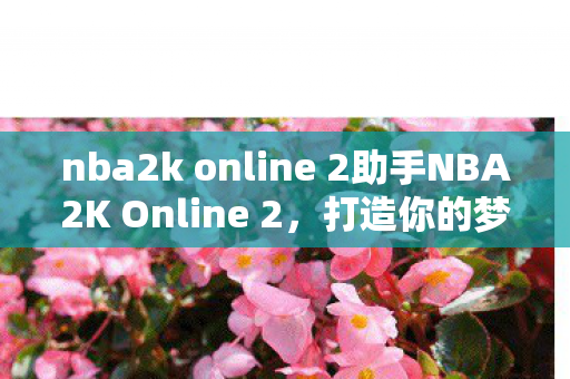 nba2k online 2助手NBA2K Online 2,打造你的梦幻阵容,体验篮球竞技的魅力,NBA2K Online 2,打造梦幻阵容,体验篮球竞技魅力 nba2k online 2助手NBA2K Online 2,打造你的梦幻阵容,体验篮球竞技的魅力,NBA2K Online 2,打造梦幻阵容,体验篮球竞技魅力