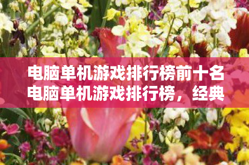 电脑单机游戏排行榜前十名电脑单机游戏排行榜，经典与创新的碰撞，经典与创新碰撞的电脑单机游戏前十名