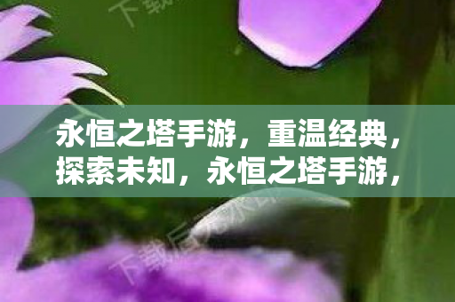 永恒之塔手游图片