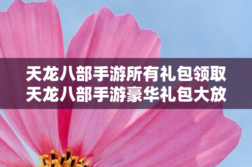 天龙八部手游所有礼包领取天龙八部手游豪华礼包大放送图片