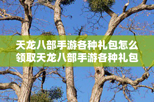 天龙八部手游各种礼包怎么领取天龙八部手游各种礼包领取攻略图片