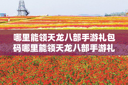 哪里能领天龙八部手游礼包码哪里能领天龙八部手游礼包图片
