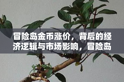 冒险岛金币涨价,背后的经济逻辑与市场影响,冒险岛金币涨价背后的经济逻辑与市场影响 冒险岛金币涨价,背后的经济逻辑与市场影响,冒险岛金币涨价背后的经济逻辑与市场影响