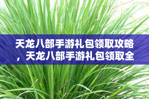 天龙八部手游礼包领取全攻略图片