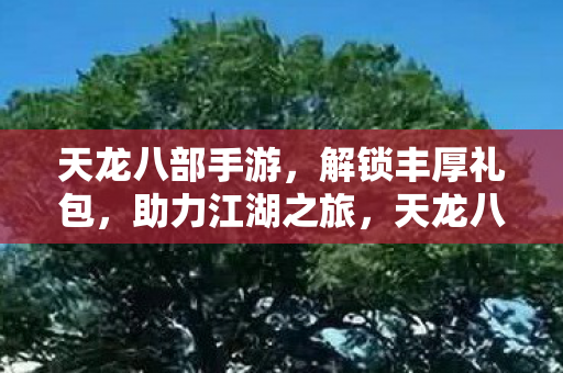 天龙八部手游解锁丰厚礼包图片