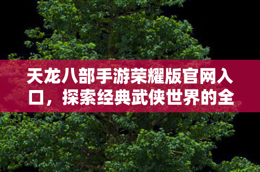 天龙八部手游荣耀版官网入口图片