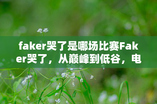 faker哭了是哪场比赛Faker哭了图片
