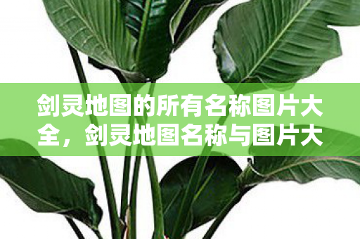 剑灵地图的所有名称图片大全图片