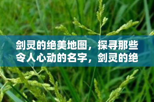 探寻那些令人心动的名字图片