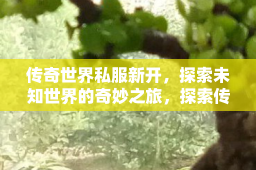 探索未知世界的奇妙之旅图片