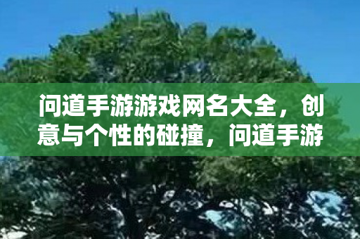 问道手游游戏网名大全,创意与个性的碰撞,问道手游,创意与个性碰撞的游戏网名大全 问道手游游戏网名大全,创意与个性的碰撞,问道手游,创意与个性碰撞的游戏网名大全