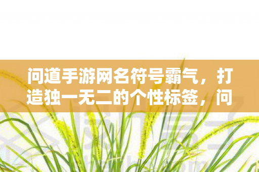 问道手游网名符号霸气，打造独一无二的个性标签，问道手游，打造霸气网名符号，彰显个性标签