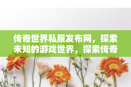 传奇世界私服发布网图片