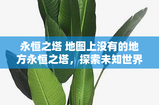永恒之塔 地图上没有的地方永恒之塔图片