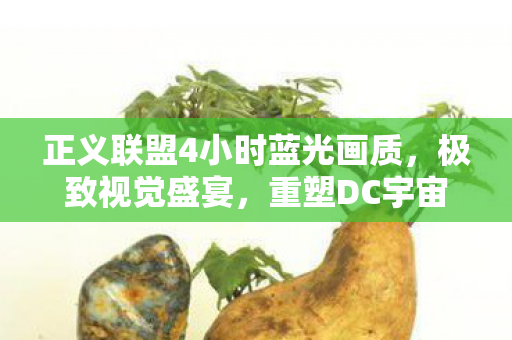 正义联盟4小时蓝光画质图片