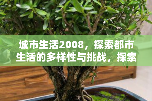 探索都市生活的多样性与挑战图片