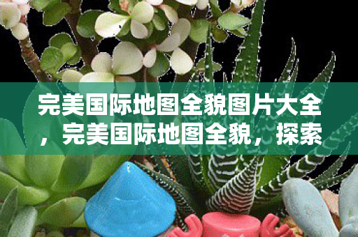 完美国际地图全貌图片大全图片
