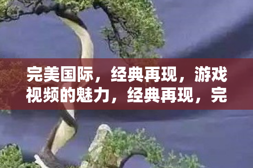 完美国际游戏视频的魅力图片