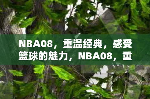 感受篮球的魅力图片