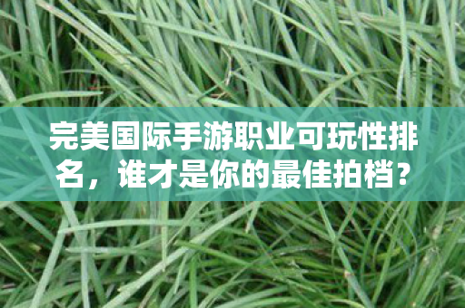 完美国际手游职业可玩性排名揭晓图片