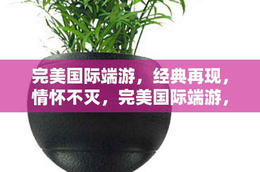 完美国际端游图片